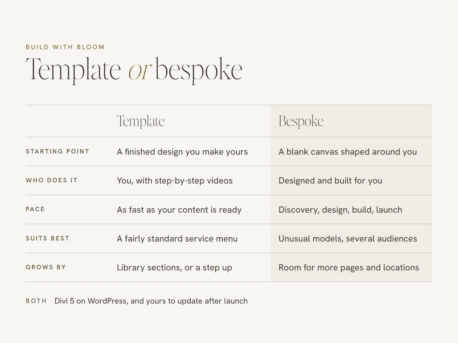 Comparison of a template and a bespoke website: starting point, who does the work, how long it takes, what it suits best and how it grows
